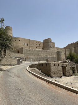 IMG_5290.jpeg