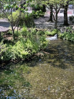 IMG_9204.jpeg