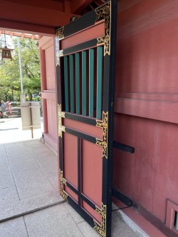 IMG_9207.jpeg