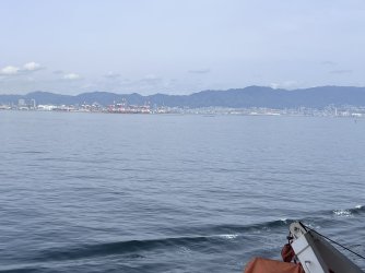 IMG_9222.jpeg