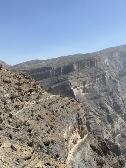 IMG_5564.jpeg