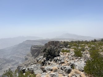 IMG_5501.jpeg