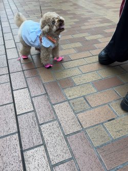 IMG_9299.jpeg