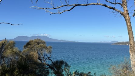 IMG_0474.jpeg