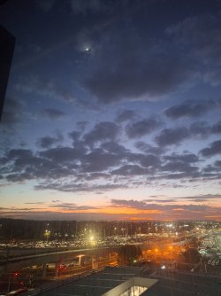 20250424_062218.jpg