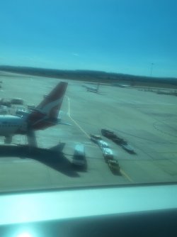 20250424_124137.jpg