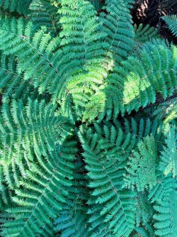 IMG_5549.jpeg