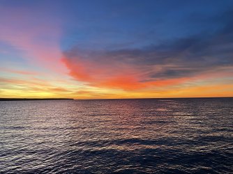 IMG_4344.jpeg