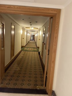 IMG_5604.jpeg