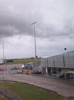 20250425_094748.jpg