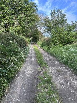 IMG_0805.jpeg