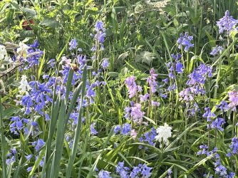 IMG_0807.jpeg