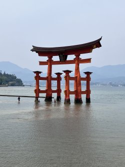 IMG_9366.jpeg