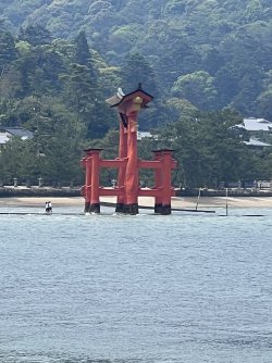 IMG_9361.jpeg