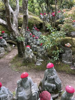 IMG_9392.jpeg