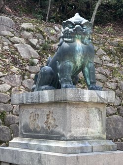 IMG_9363.jpeg