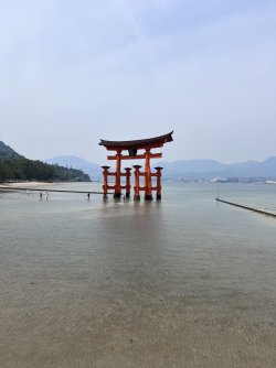 IMG_9365.jpeg