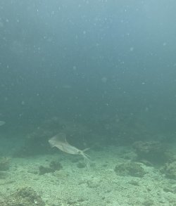 IMG_6011.jpeg