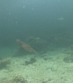 IMG_6012.jpeg