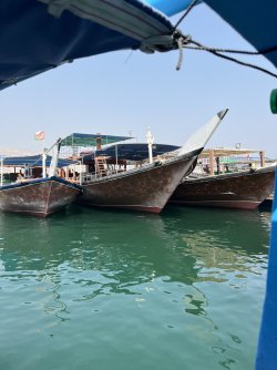 IMG_5832.jpeg
