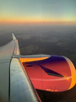IMG_3703.jpeg