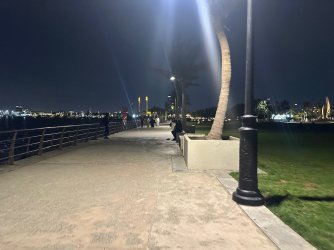 IMG_1562.jpeg