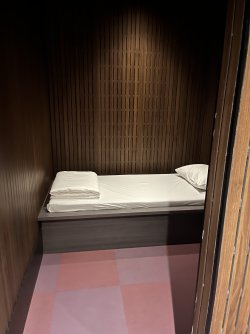 IMG_6388.jpeg IMG_6388.jpeg