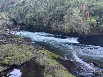 IMG_5586.jpeg
