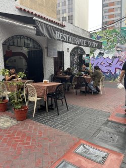 IMG_6512.jpeg