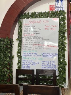 IMG_6505.jpeg