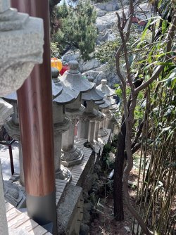 IMG_9479.jpeg