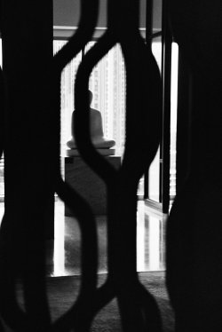 IMG_5281.jpeg