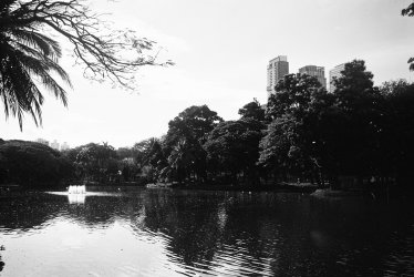IMG_5243.jpeg