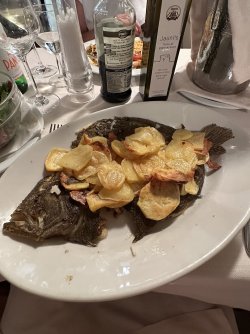 IMG_4413.jpeg