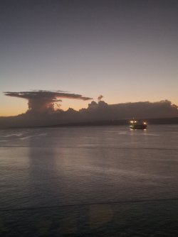 20250427_180252.jpg