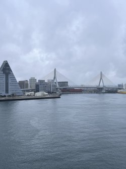IMG_9601.jpeg