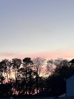 IMG_0927.jpeg