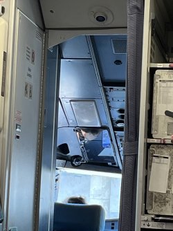 IMG_6536.jpeg