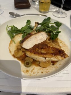 IMG_2242.jpeg