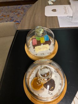 IMG_3573.jpg