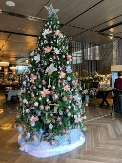 IMG_3671.jpg