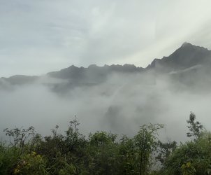IMG_6729.jpeg