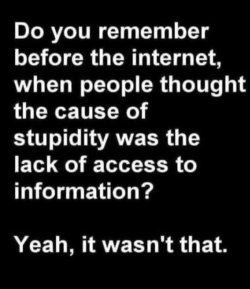 1746150555702.jpeg