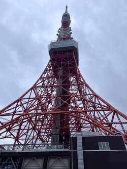 IMG_9773.jpeg