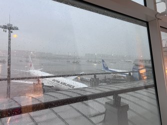 IMG_9779.jpeg