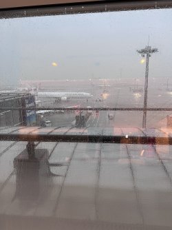IMG_9780.jpeg