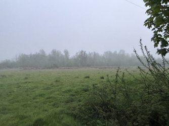IMG_1031.jpeg