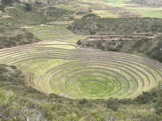 IMG_6877.jpeg