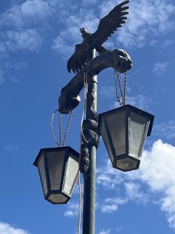 IMG_6854.jpeg