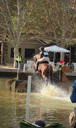 IMG_4886.jpeg
